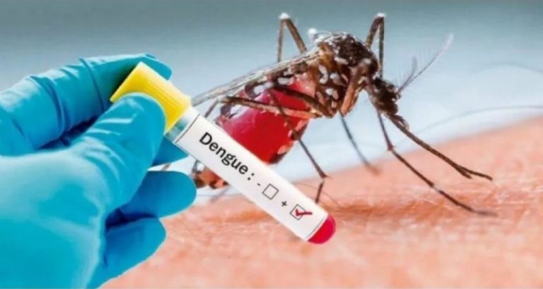DENGUE