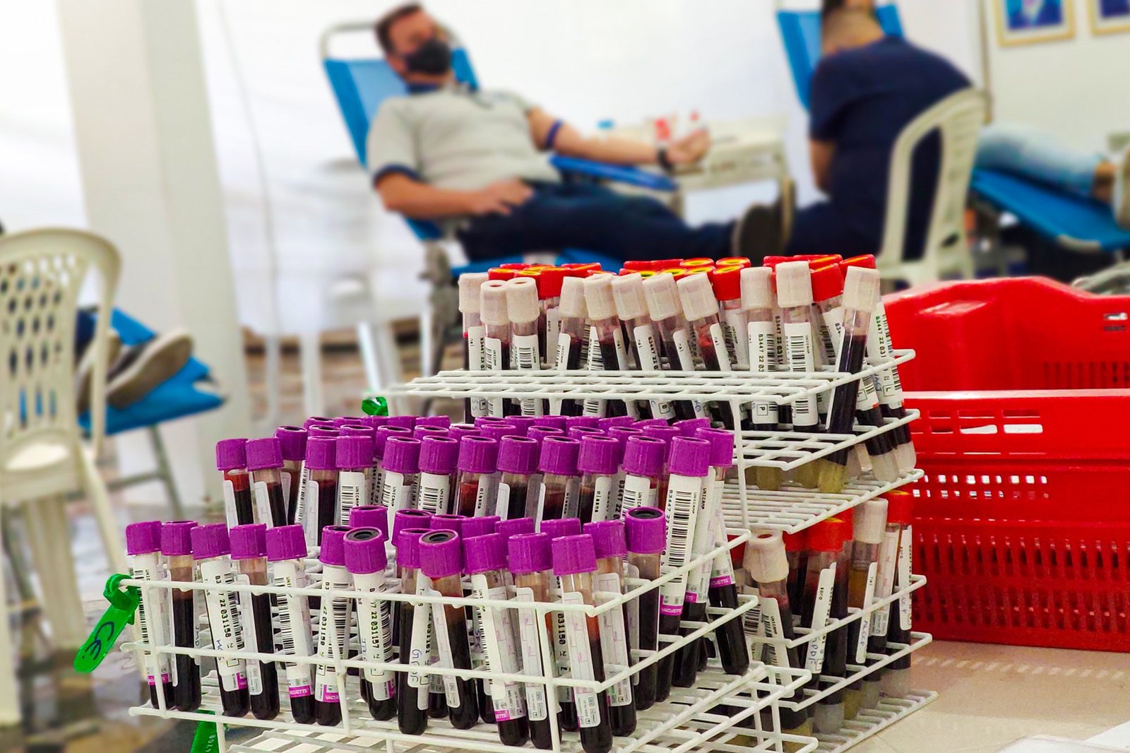 doação de sangue 18 imprensa