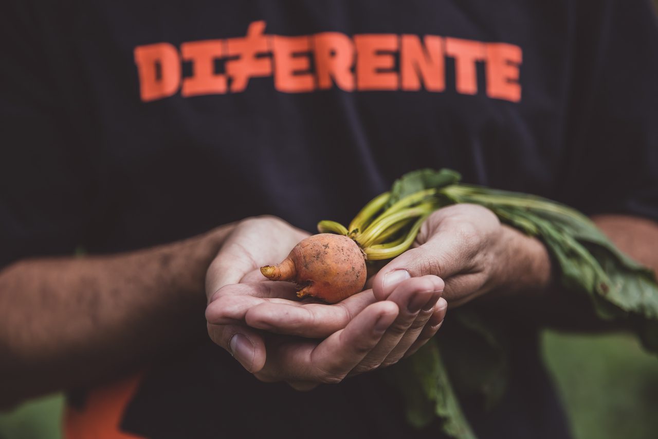 MercadoDiferente---fora-do-padrao-1