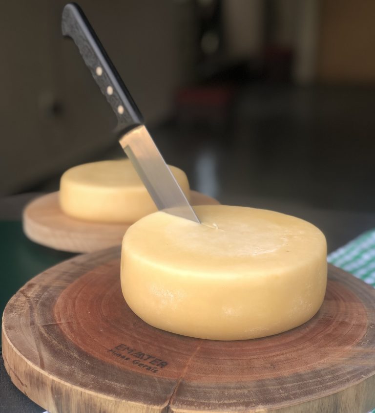 Queijo Meia cura