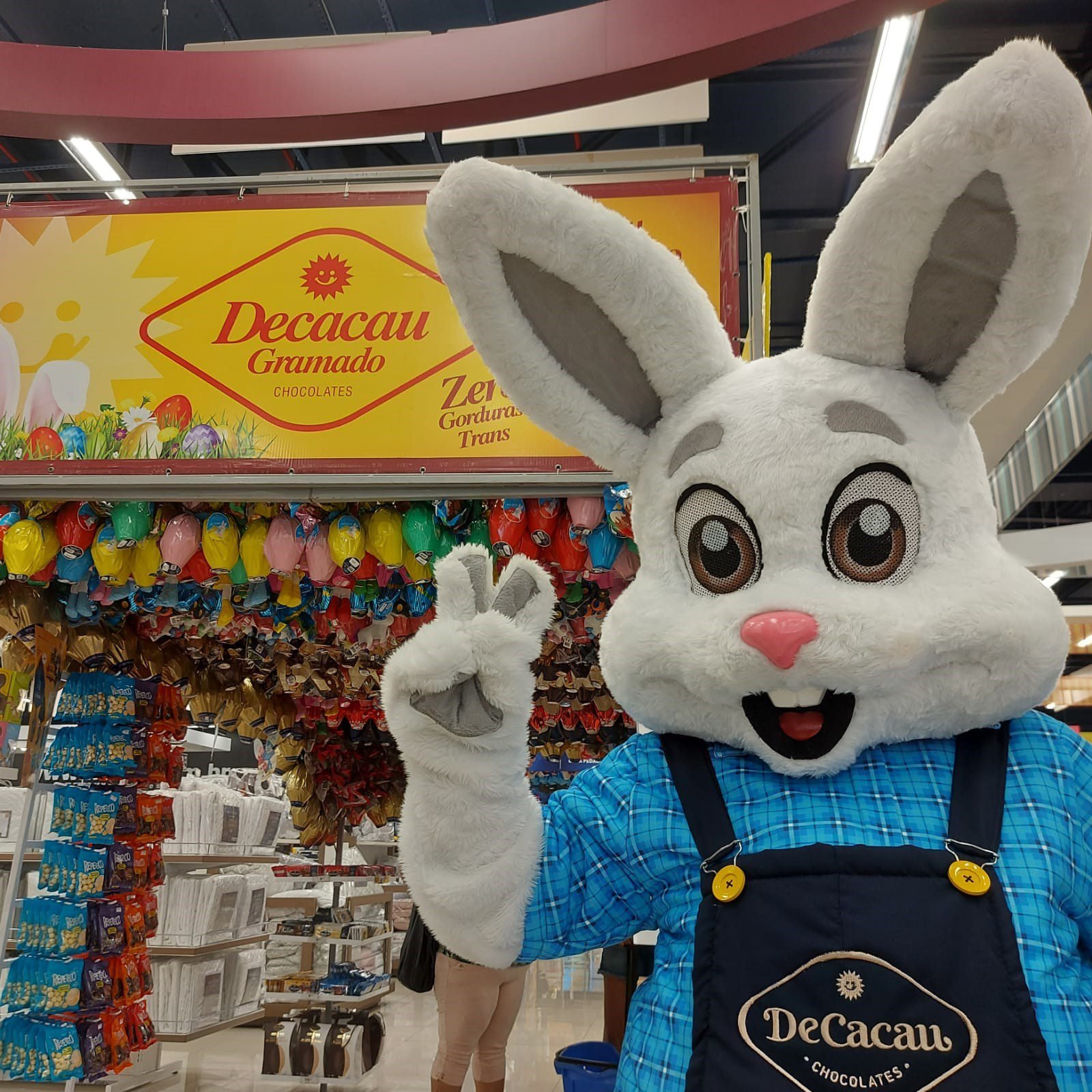 Havan de Santa Bárbara d’Oeste recebe, neste sábado, a visita do Chocoelho, mascote da Decacau 1 2