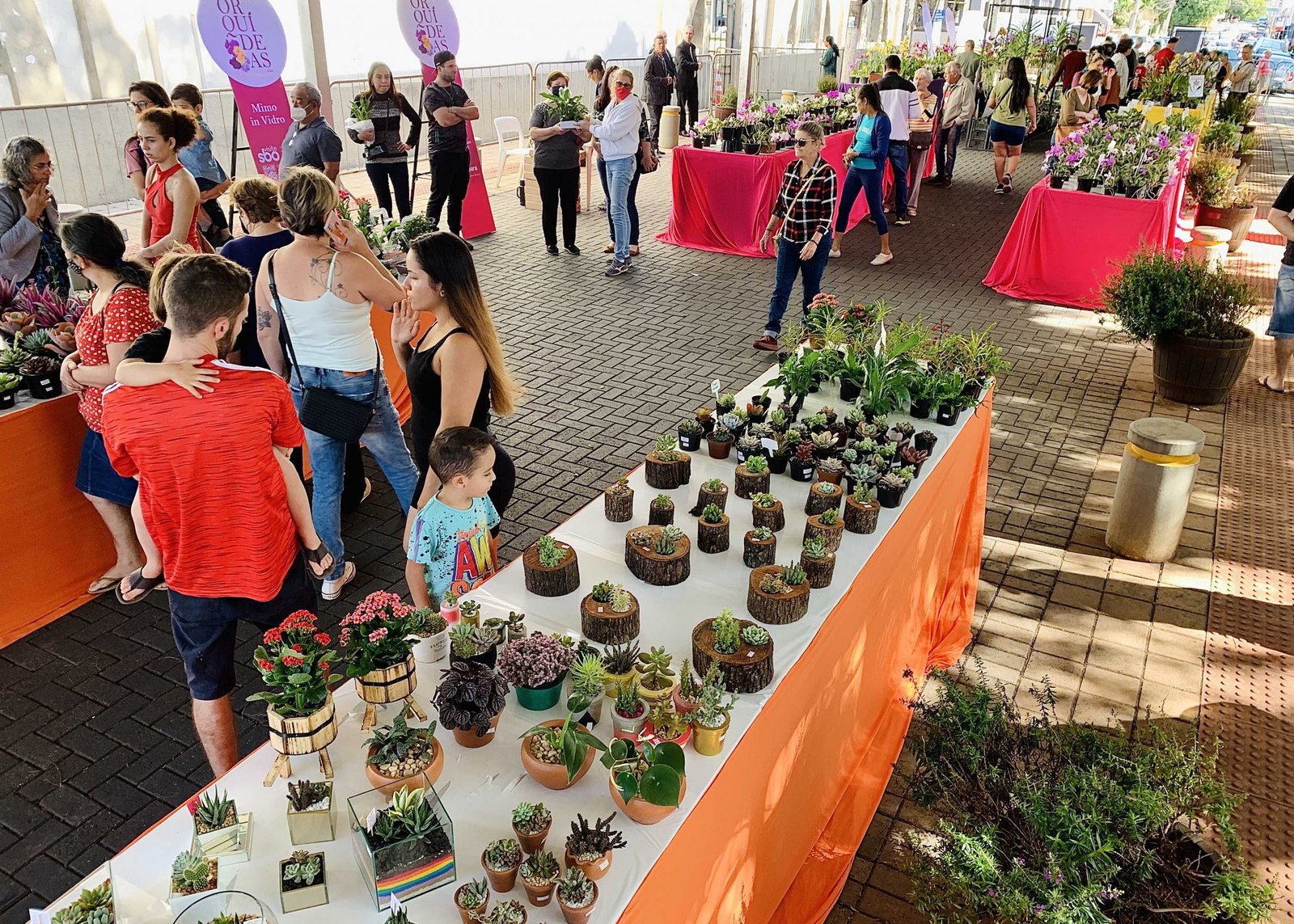 Festival das Orquídeas 2022 (40)