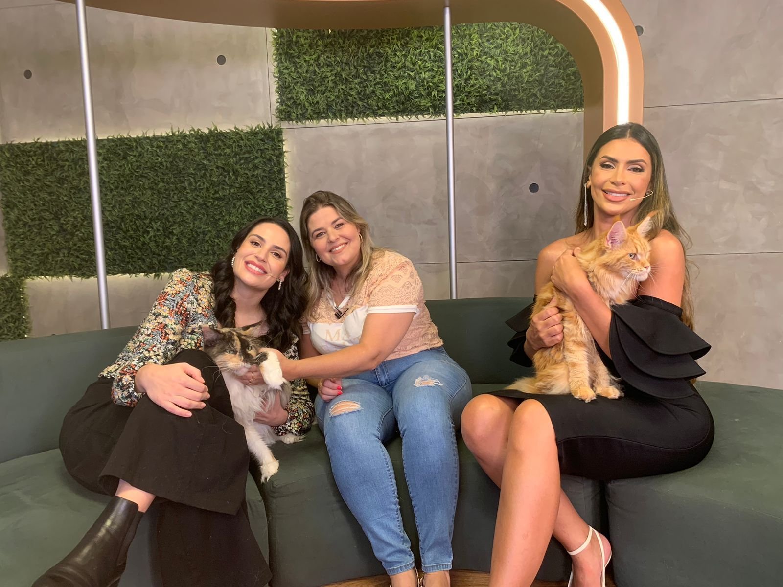 Miados e Latidos (2)