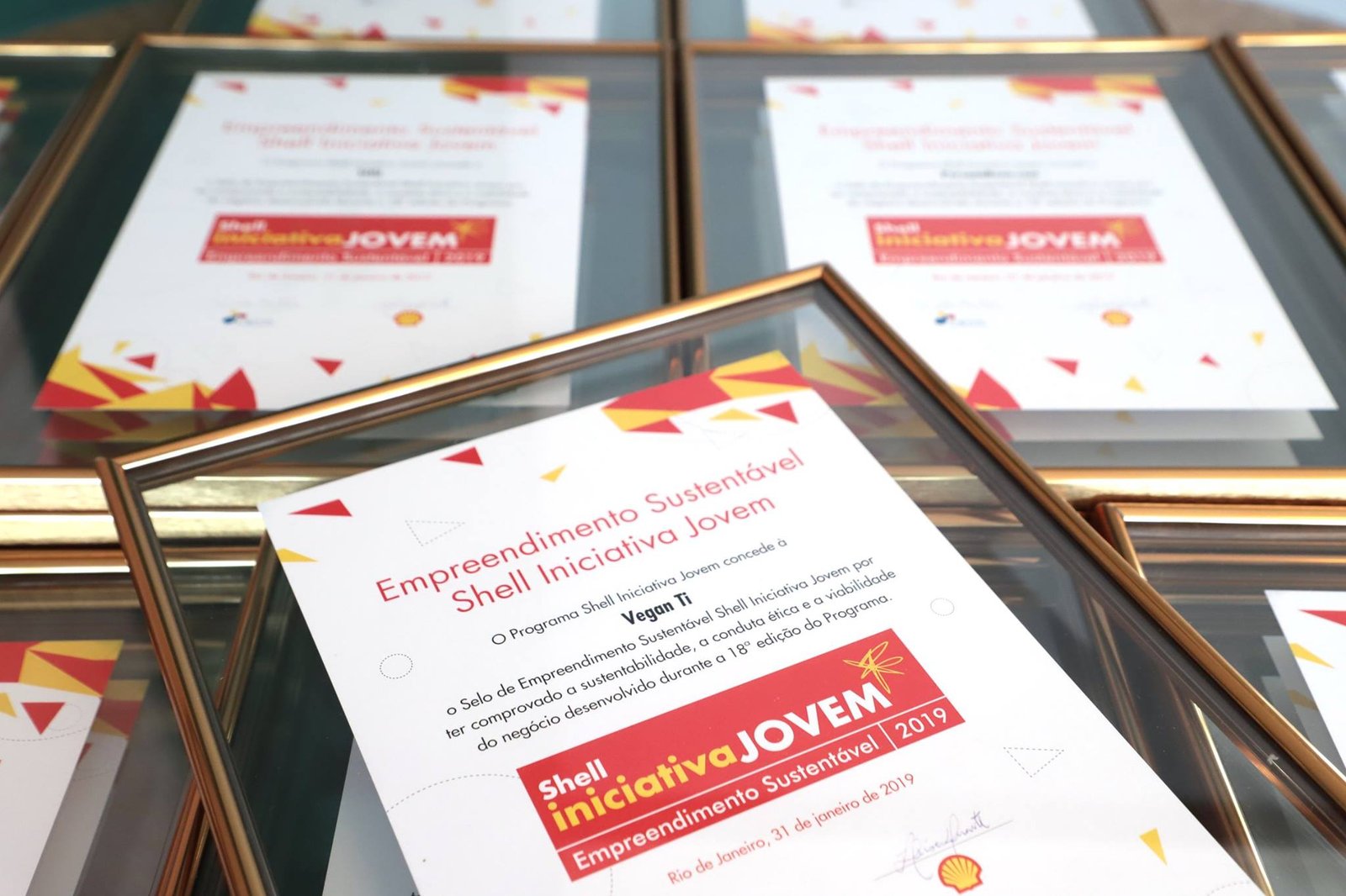 51248334_2381310695221606_8504477082250641408_o