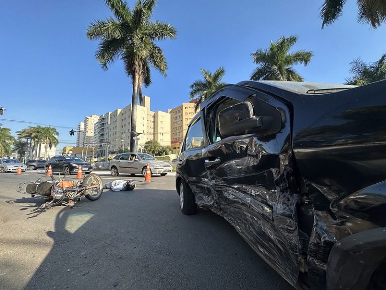 52899550156_cc2c9bfbaf_c