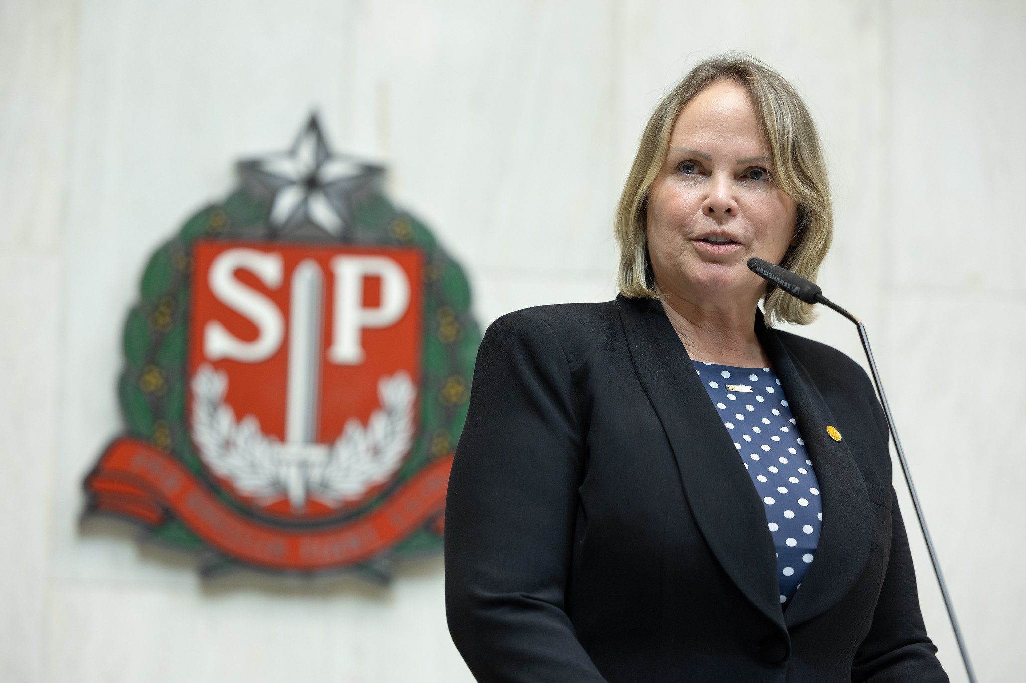 Ana_Perugini_tribuna_Alesp_23052023