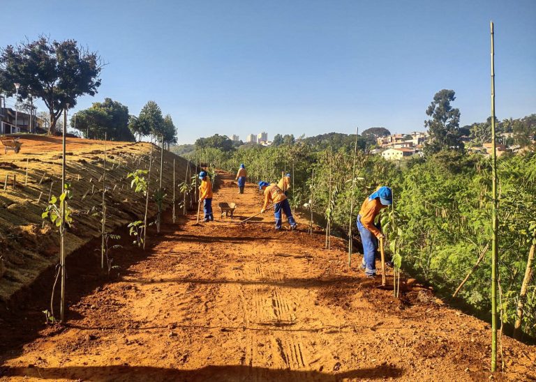 Plantio de árvores Rua Croácia 01 - imprensa