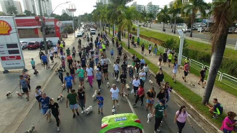 Primeira CãoMinhada CãoChorro