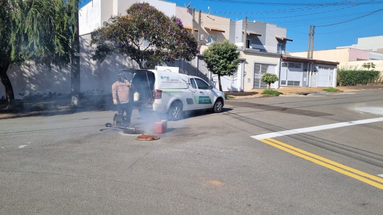 Serviço de controle de baratas nos bairros