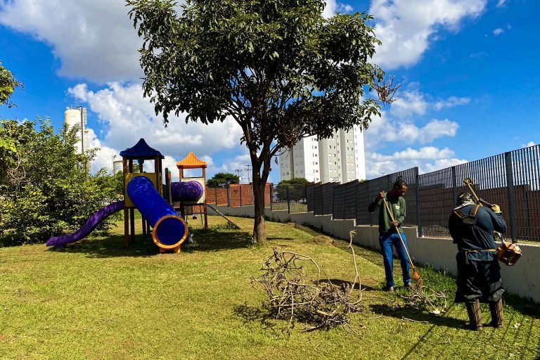 capinaçao 02 ciep carmelina imprensa