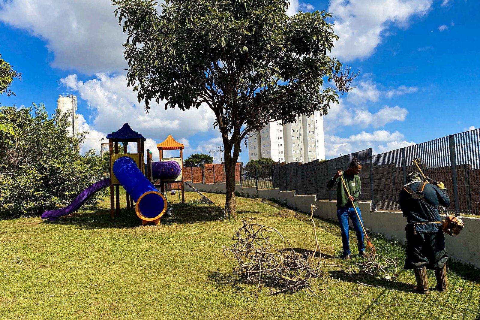 capinaçao 02 ciep carmelina imprensa