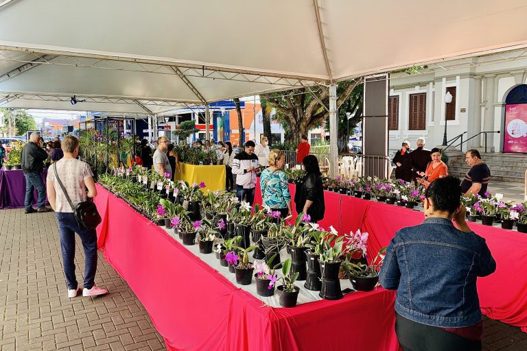 festival das orquideas 01 imprensa