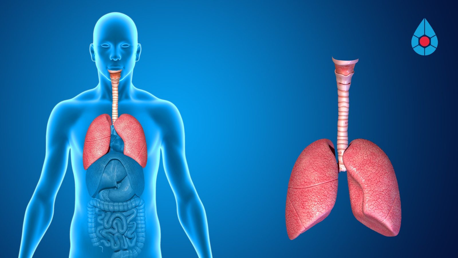 Síndrome Respiratória Aguda Grave: especialista alerta sobre os principais cuidados 1 invitrocue-brasil-cancer-pulmao