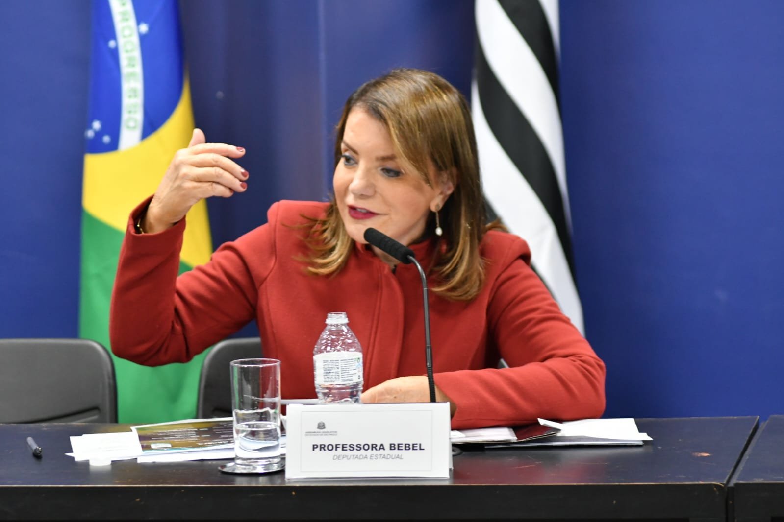 09-06-23-A deputada Professora Bebel diz que o Estado tem uma desafagem de pelo menos 98 mil professores