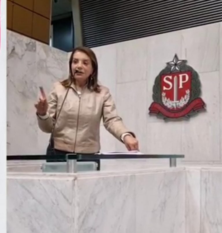 14-06-23-A deputada Professora Bebel durante a sessão em que foi aprovado reajuste salarial para servidores estaduais