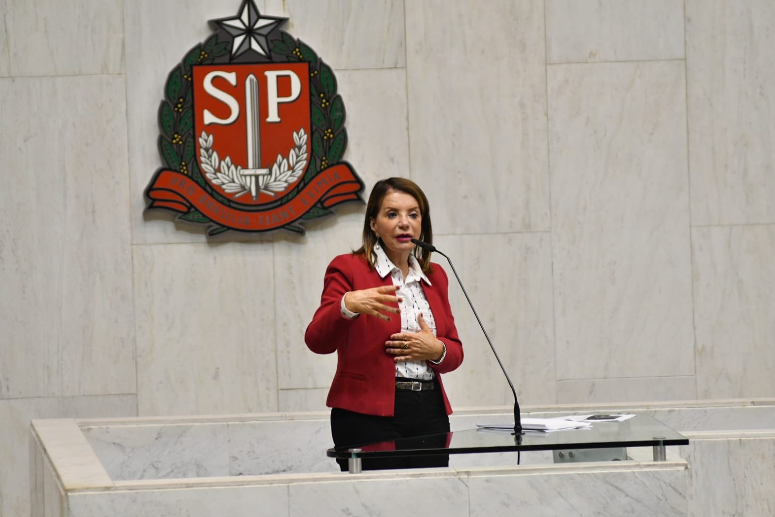15-06-23-A deputada estadual Professora Bebel, que tem forte atuação no parlamento paulista, já conseguiu R$ 3,790 milhões para a área da saúde de Piracicaba
