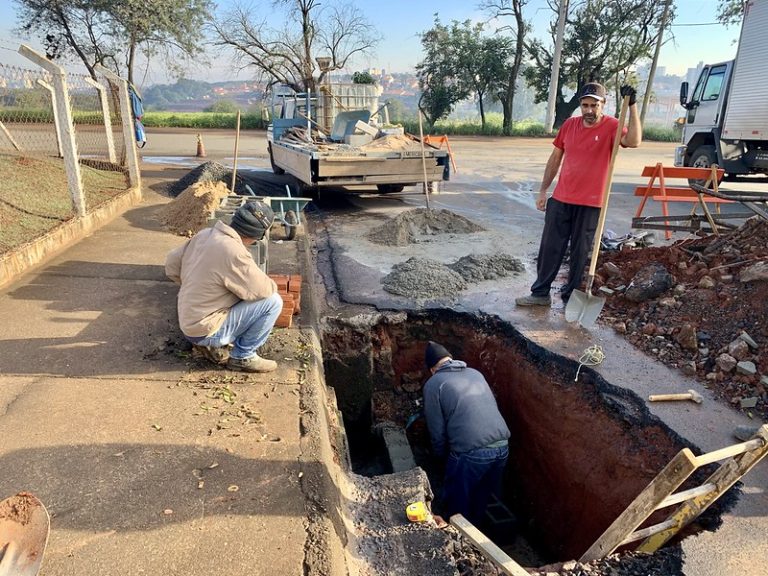 52942735581_425a782d63_c