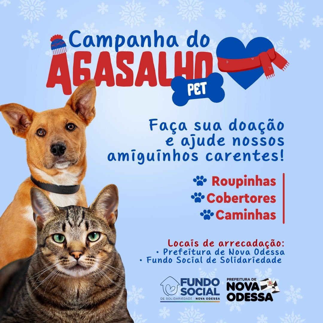 Campanha do Agasalho Pet Fundo Social PMNO 2023-06