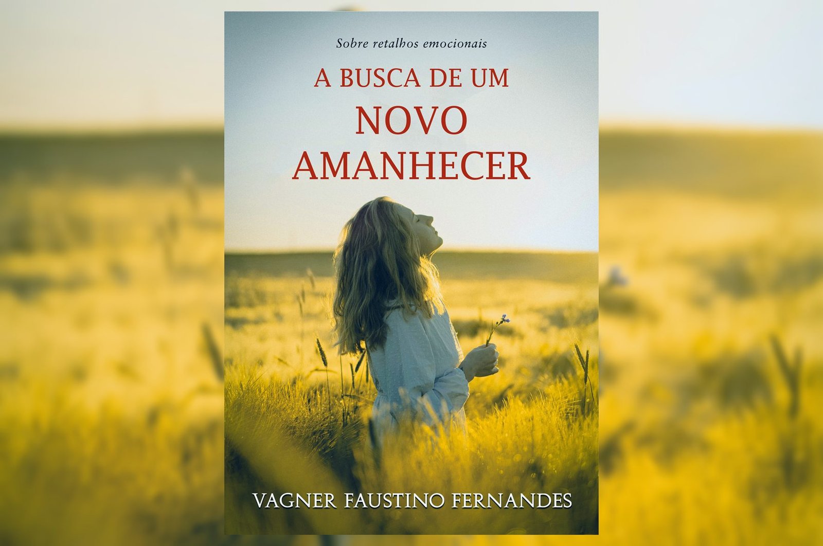 Capa-A-busca-de-um-novo-amanhecer---retangular