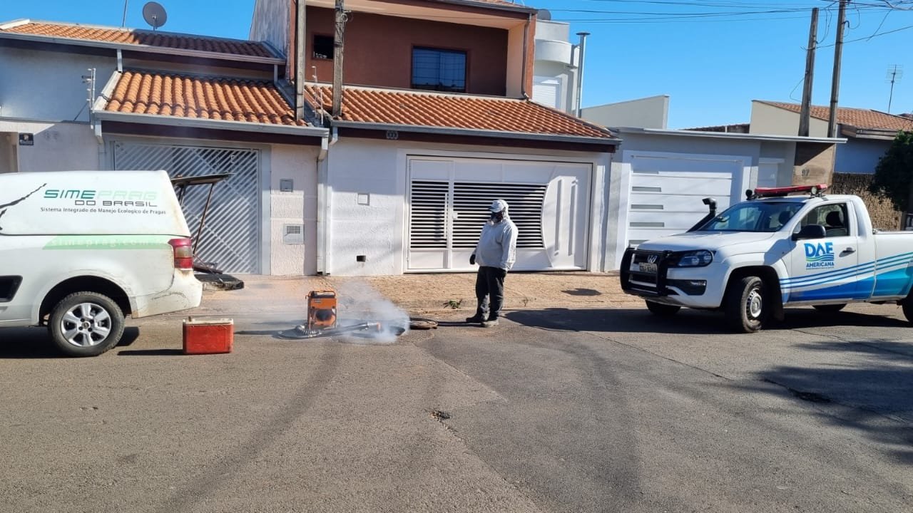 Desinsetização (15)