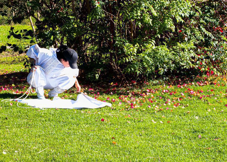 açao saude 05 imprensa