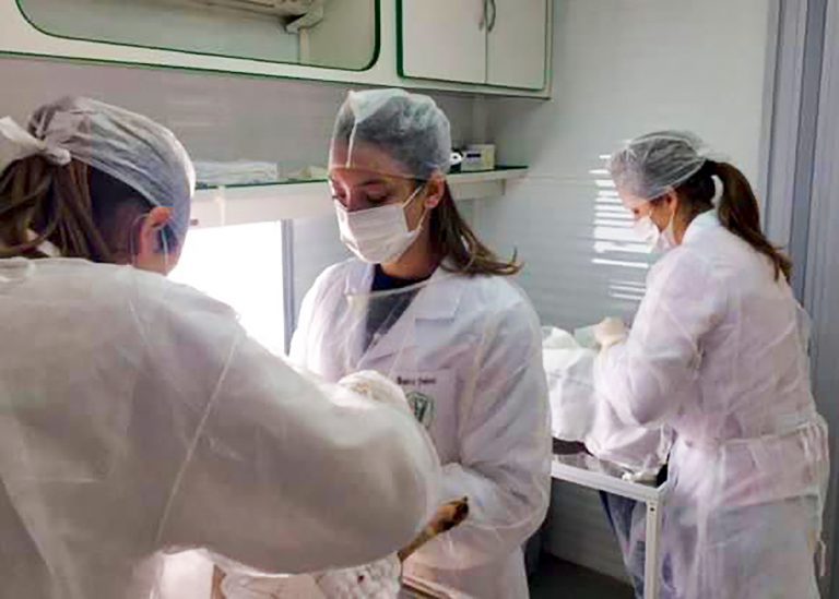 castraçao cae e gatos 02 imprensa