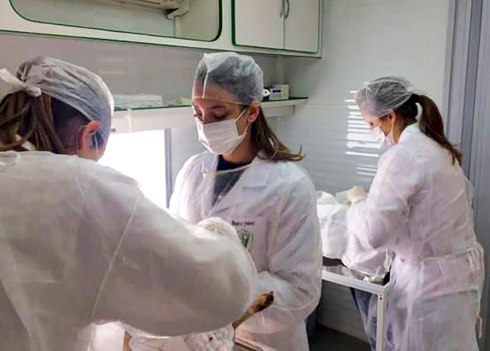 Prefeitura oferece castração gratuita para cães e gatos em Santa Bárbara 1 castraçao cae e gatos 02 imprensa