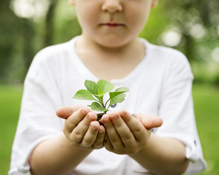 Little boy holding soil and plant in the park