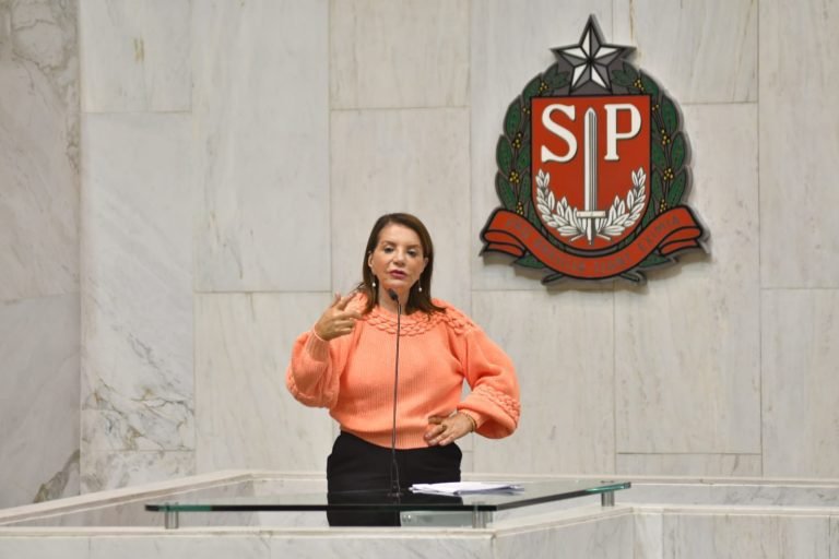 21-07-23-A deputada Professora Bebel destaca a necessidade do Estado dar apoio financeiro aos filhos e dependentes das vítimas