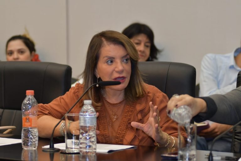 24-07-23-A deputada Professora Bebel diz que a presença de pessoa como acompanhante, tranquiliza em situações de extrema fragilidade física da mulher