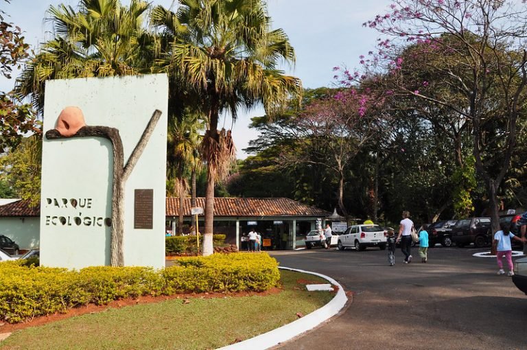 52013412858_aa209f8157_c