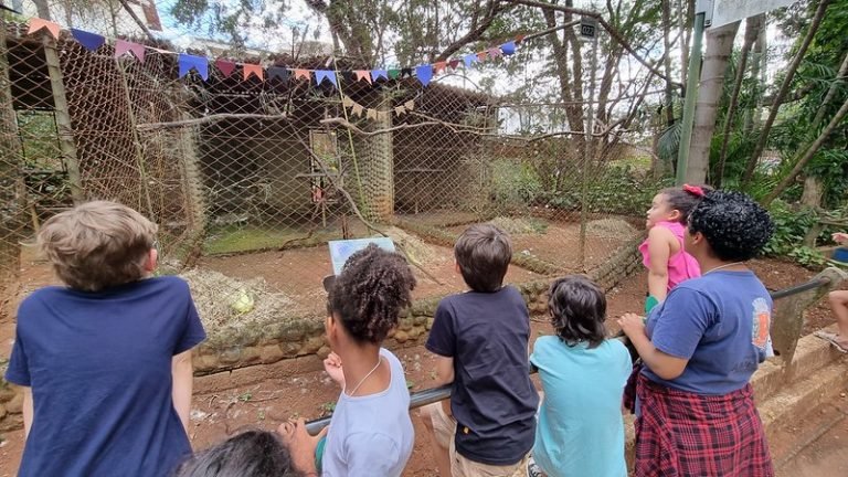 53041705550_511e6edf07_c