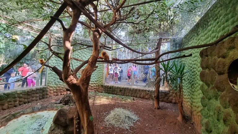 53043986295_4a24f5ee01_c