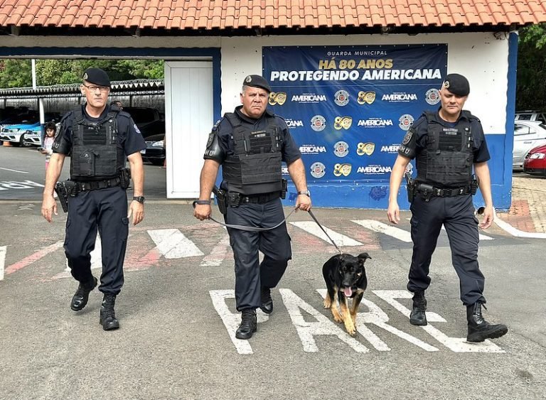 53059565485_215c713445_c