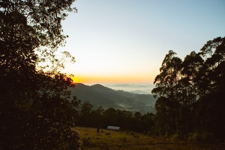 Copia-de-0024-IMG-8971