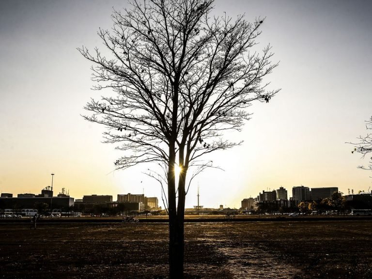 Há mais de 100 dias sem chuva, Brasília tem paisagens alteradas pela estiagem