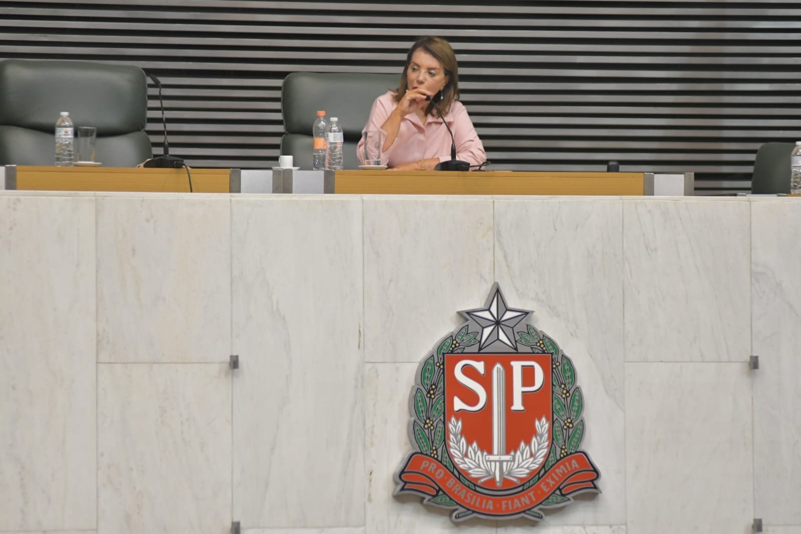 29-08-23-A deputada Professora Bebel preside sessão da Assembleia Legistiva, aonde tem defendido investimentos na área da saúde