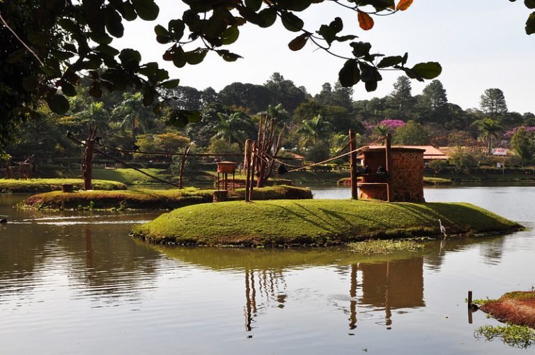 52013412513_e8a554f1d2_c