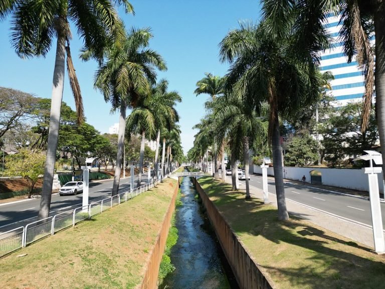 53104008682_33f95bf969_c