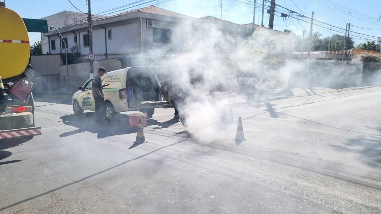 Desinsetização (12)