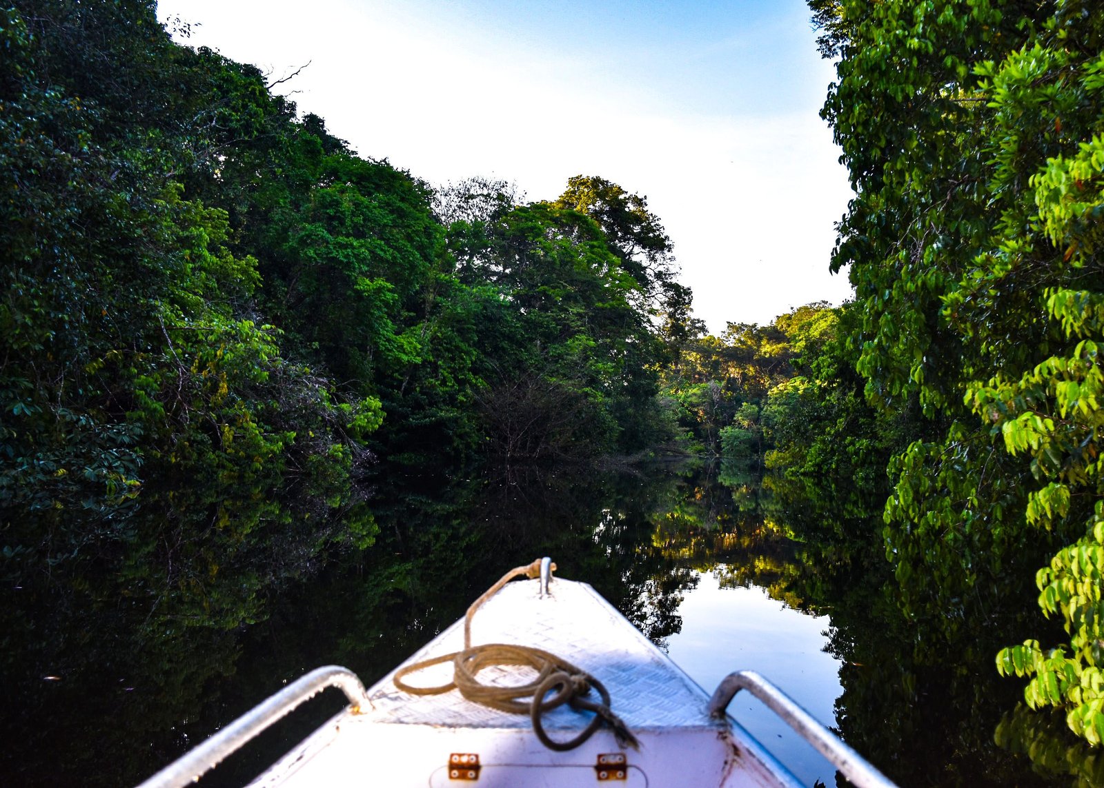 Léo Sallum recebe mostra fotográfica “Missão Amazônia” 1 Missão Amazônia 01 - insta