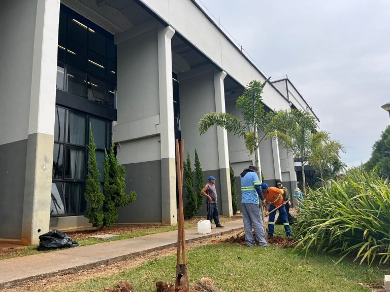 Plantio Mudas Palmeiras em frente ao Paço PMNO 2023-08-31 (32)