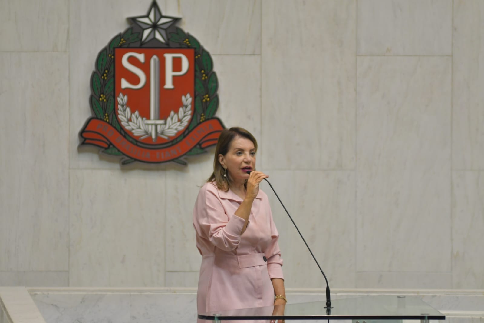 05-09-23-Na Alesp, a deputada Professora Bebel priorizou a aprovação do projeto que acaba de ser sancionado pelo governador do Estado