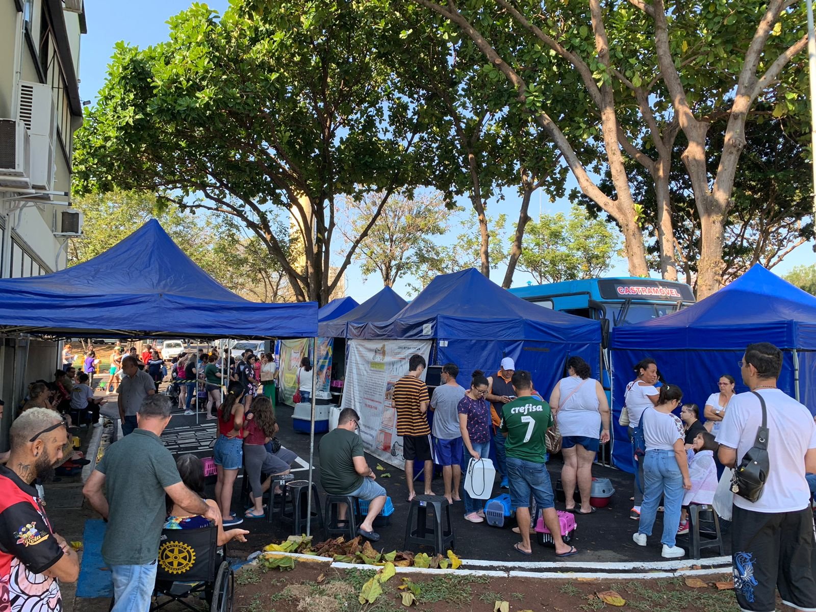 108 gatos e 88 cães são castrados na 1ª etapa do Mutirão de Castração 2023 da Prefeitura de Nova Odessa 1 1º Mutirão Programa de Castração e Microchipagem PMNO 2023-09-02 (19)