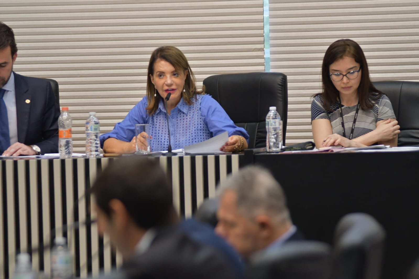 22-09-23-A deputada estadual Professora Bebel durante audiência da Comissão de Educação e Cultura da Alesp que aprovou a realização da audiência em Piracicaba