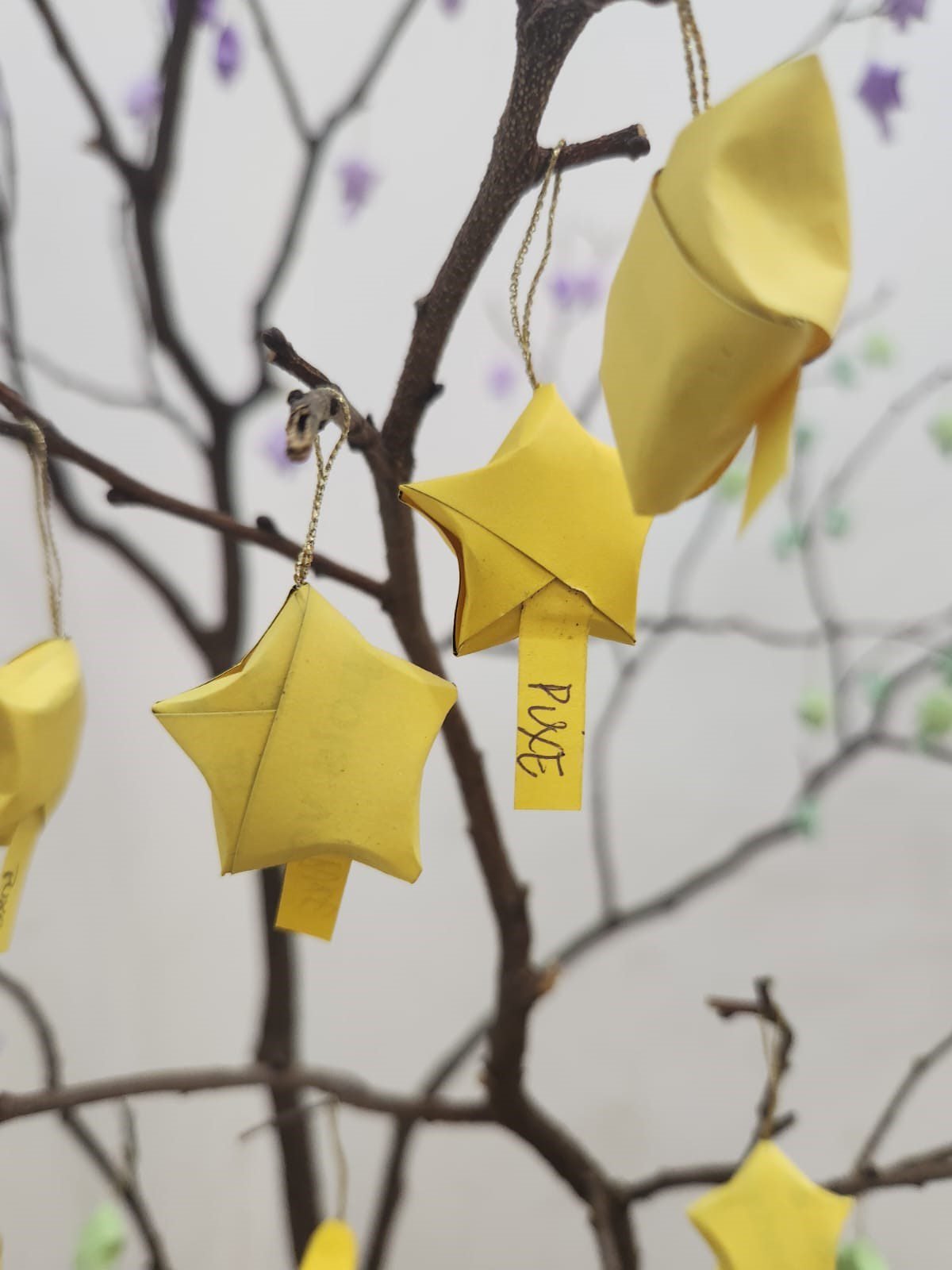 2d2cf786-7771-45fd-a7d0-6cc785c9acab (003)