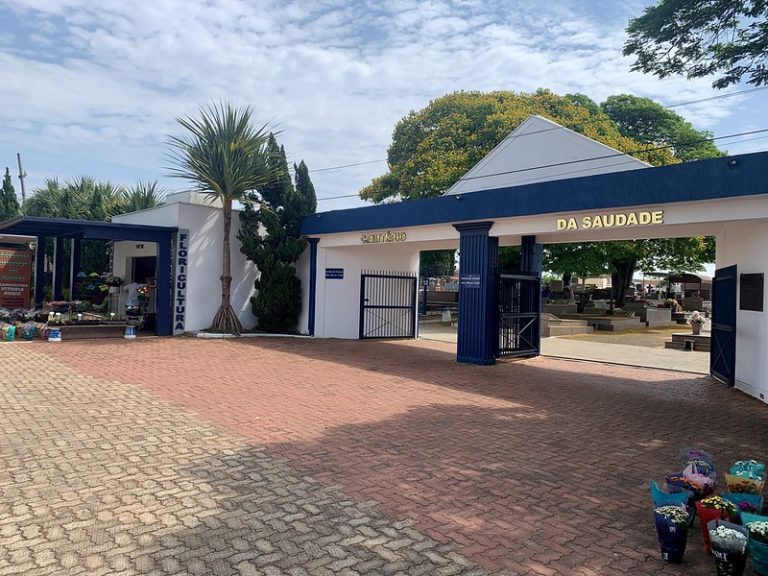 53201389676_5882f5df83_c