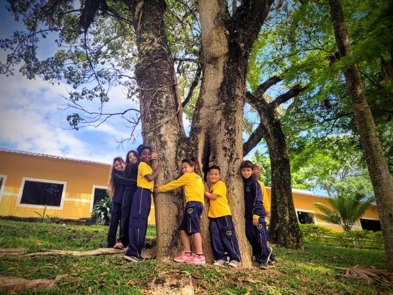 MicrosoftTeams-image (66)