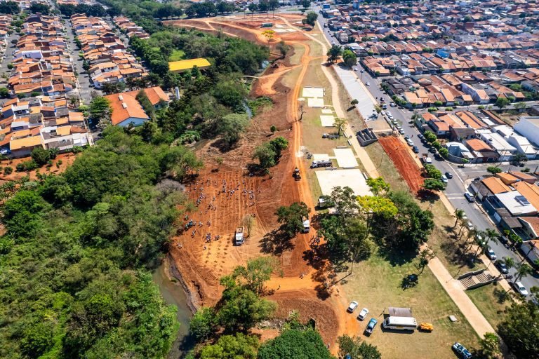 Plantio dia da Arvore 11 - imprensa