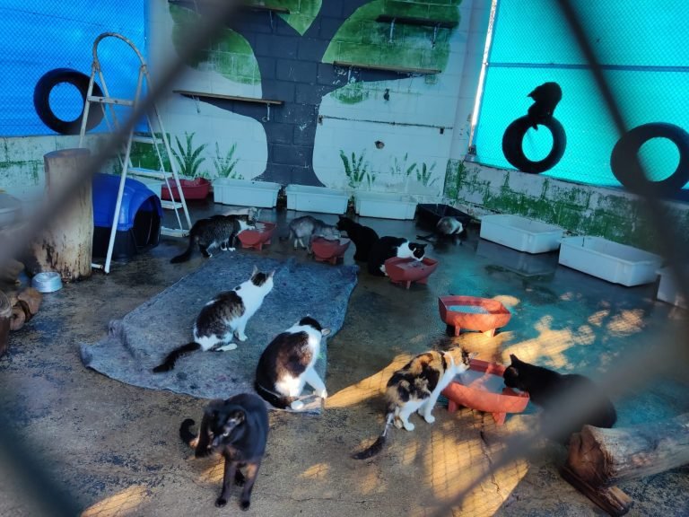 WhatsApp Image 2023-09-03 at 17.45.32